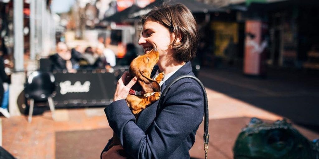 Most Engaged NZ Politicians on Instagram and their Top Performing Posts  Most Engaged NZ Politicians on Instagram and their Top Performing Posts