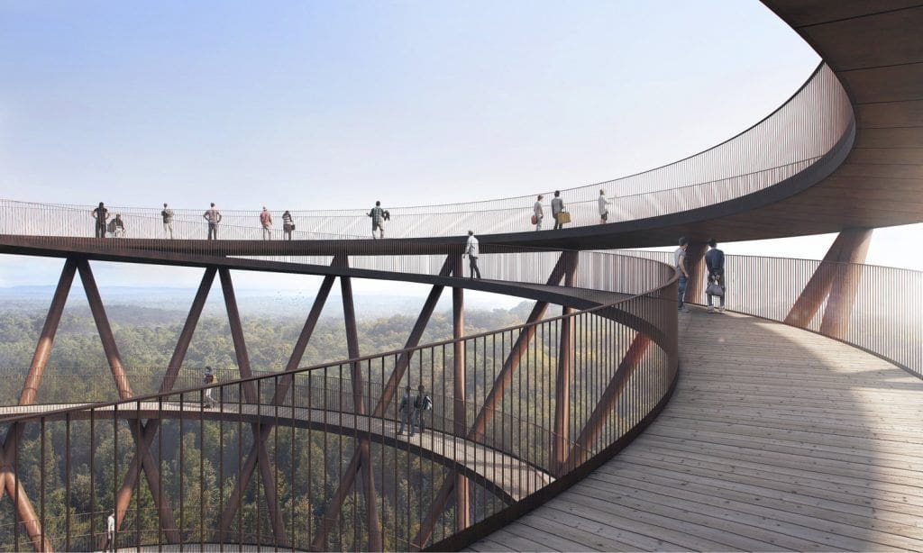 m2-the-future-of-forest-exploration-3