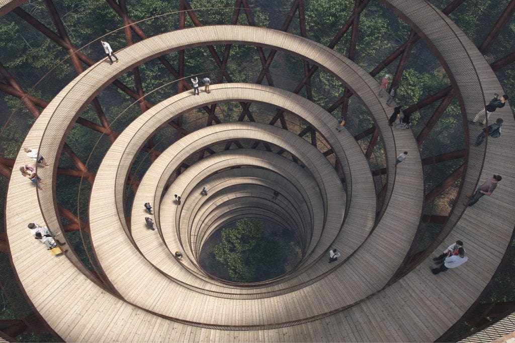 m2-the-future-of-forest-exploration