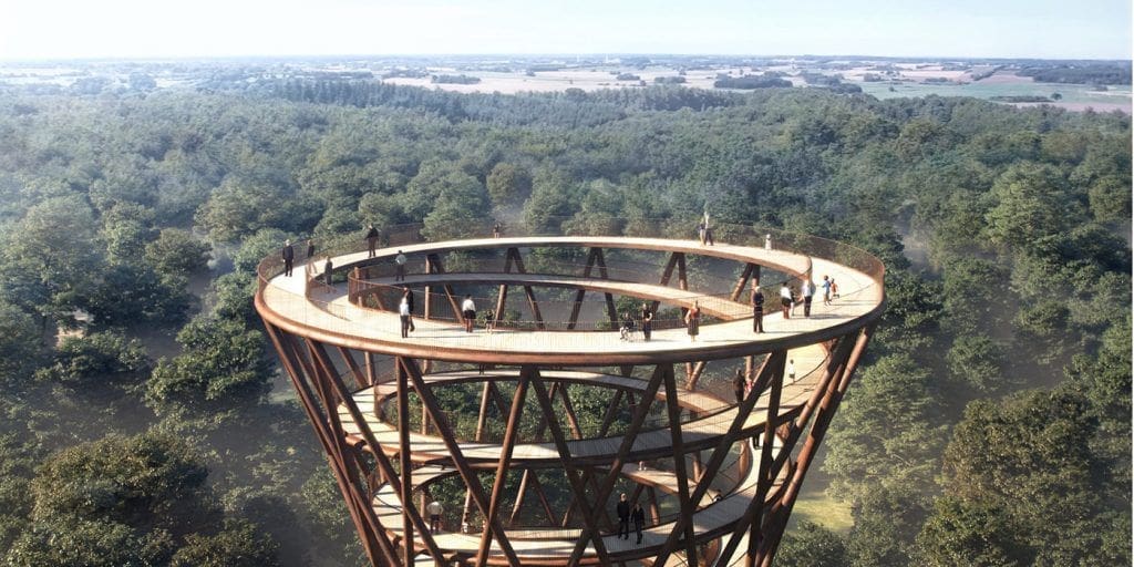 The Future Of Forest Exploration