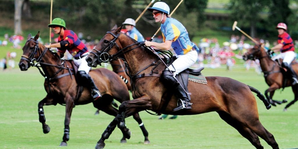 The Sport Of Kings