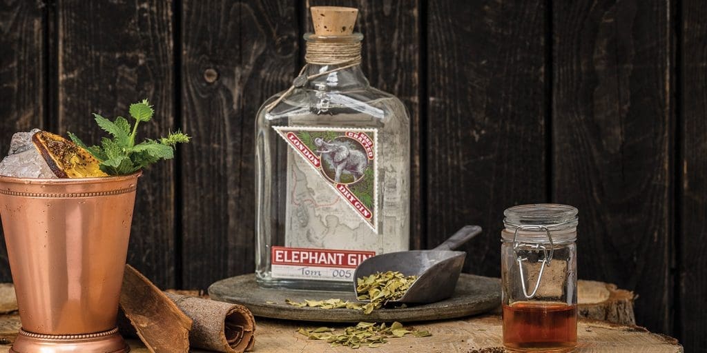 Gin For The World