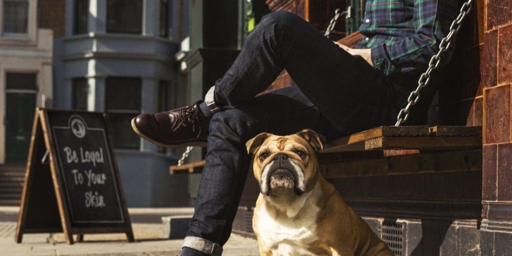 Man’s Best Friend?