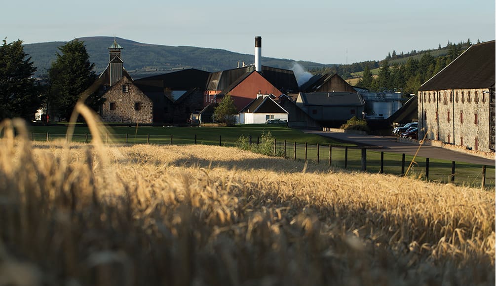 This Valley Makes all the Best Whisky