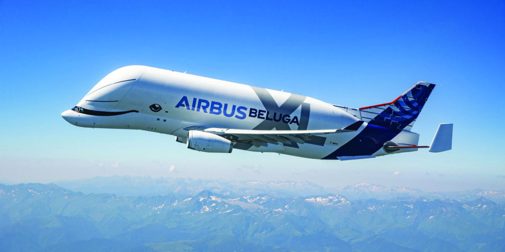 This Plane Is A Whale, Actually