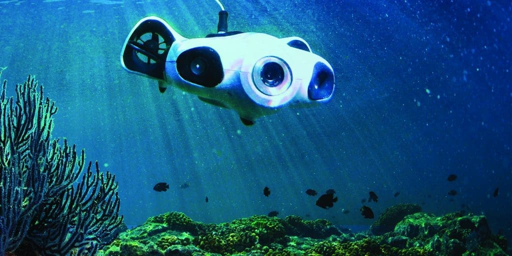 Under The Sea