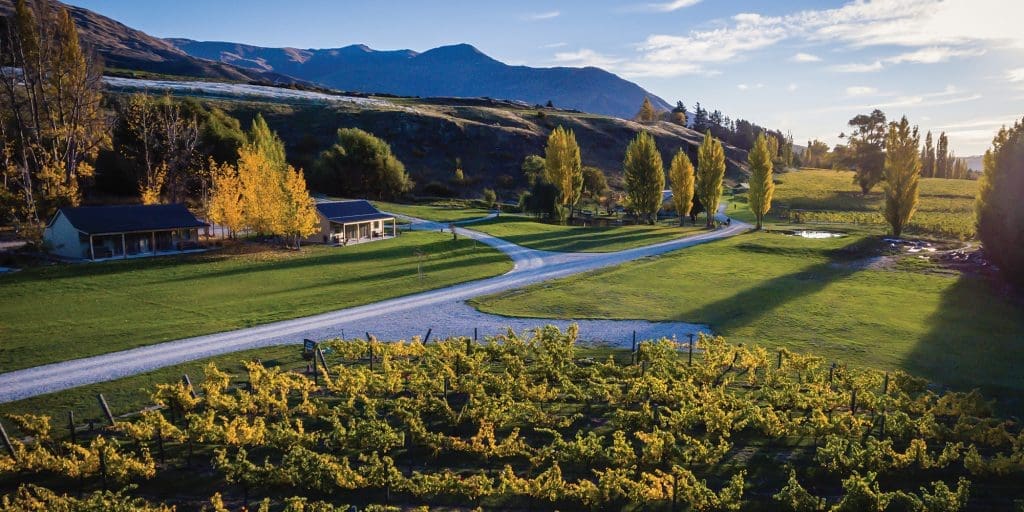 Alpine Wine Tours Alpine Wine Tours