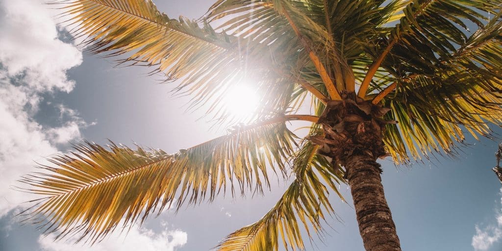 Picking Up the Suns Slack