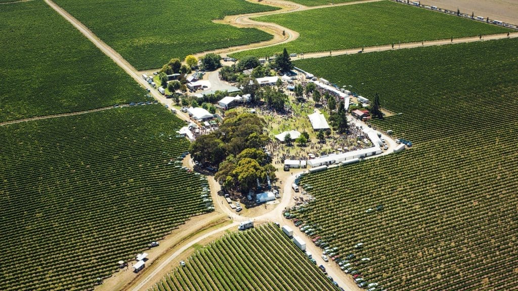 The Top Tipple The Top Tipple