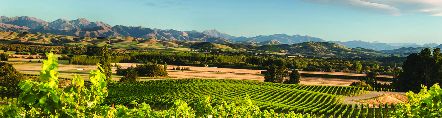 Negociants New Zealand Fine Wine Tour