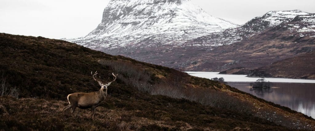 Richard Gaston Presents The Lonely Wilds Richard Gaston Presents The Lonely Wilds