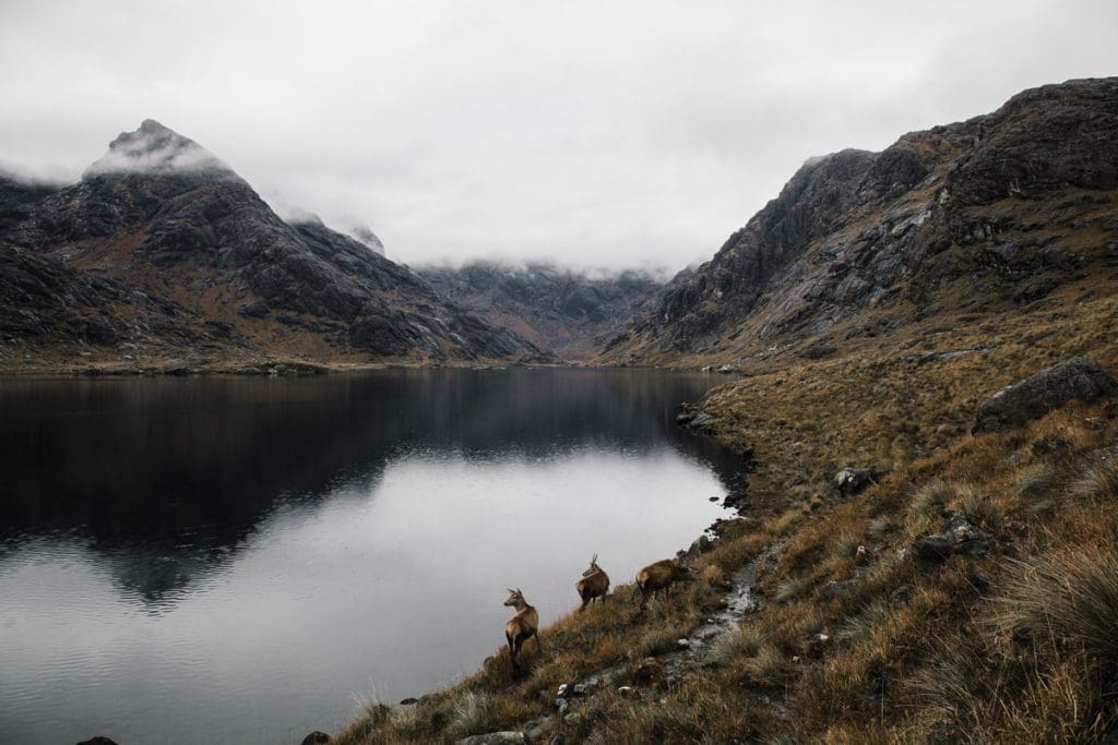 lonely wilds 2 richard gaston