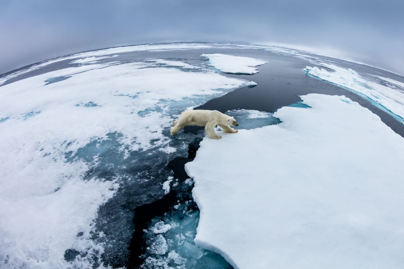 Eye for Nature – Siena International Photo Awards 2019