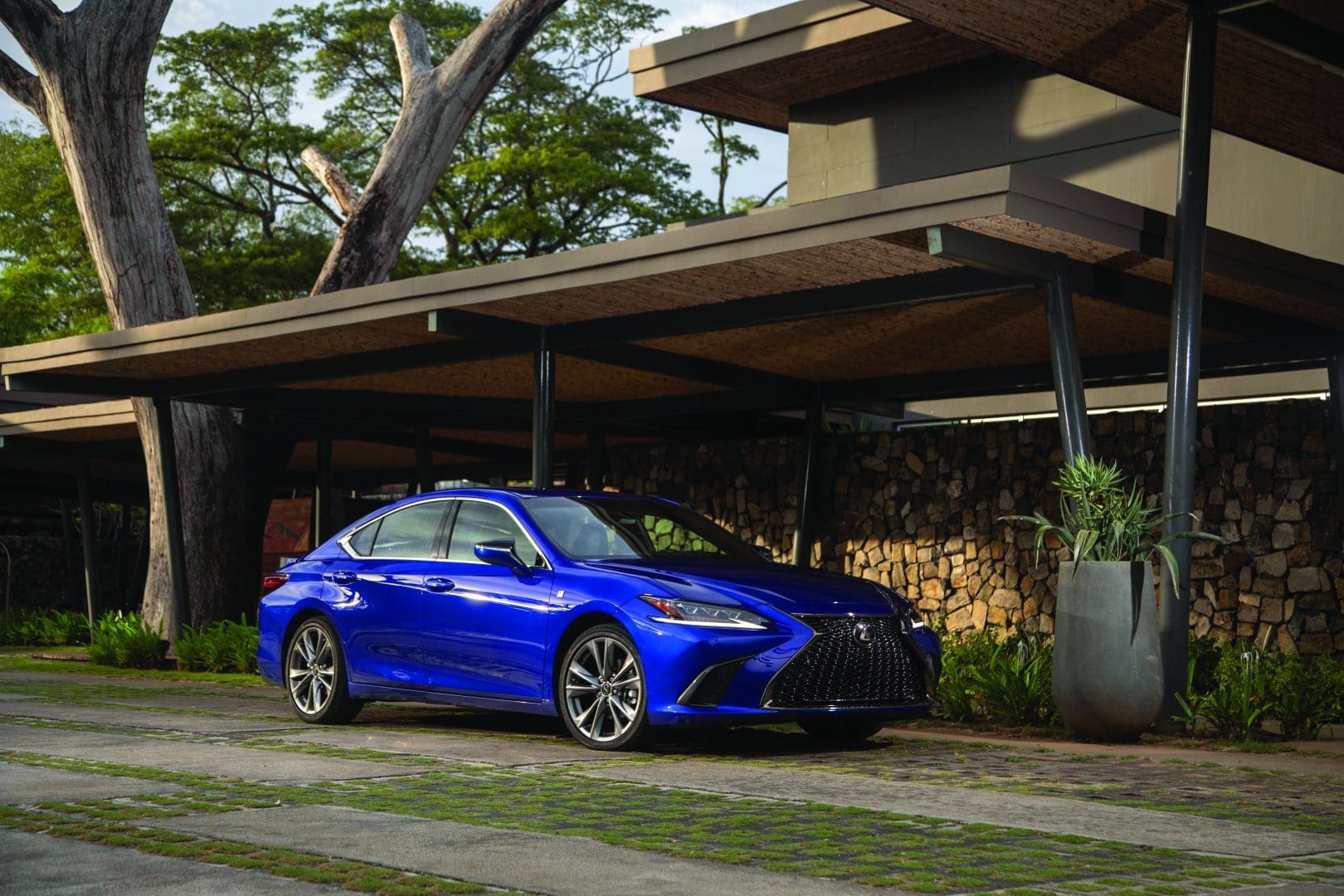 Unboxing The ES 300h F Sport