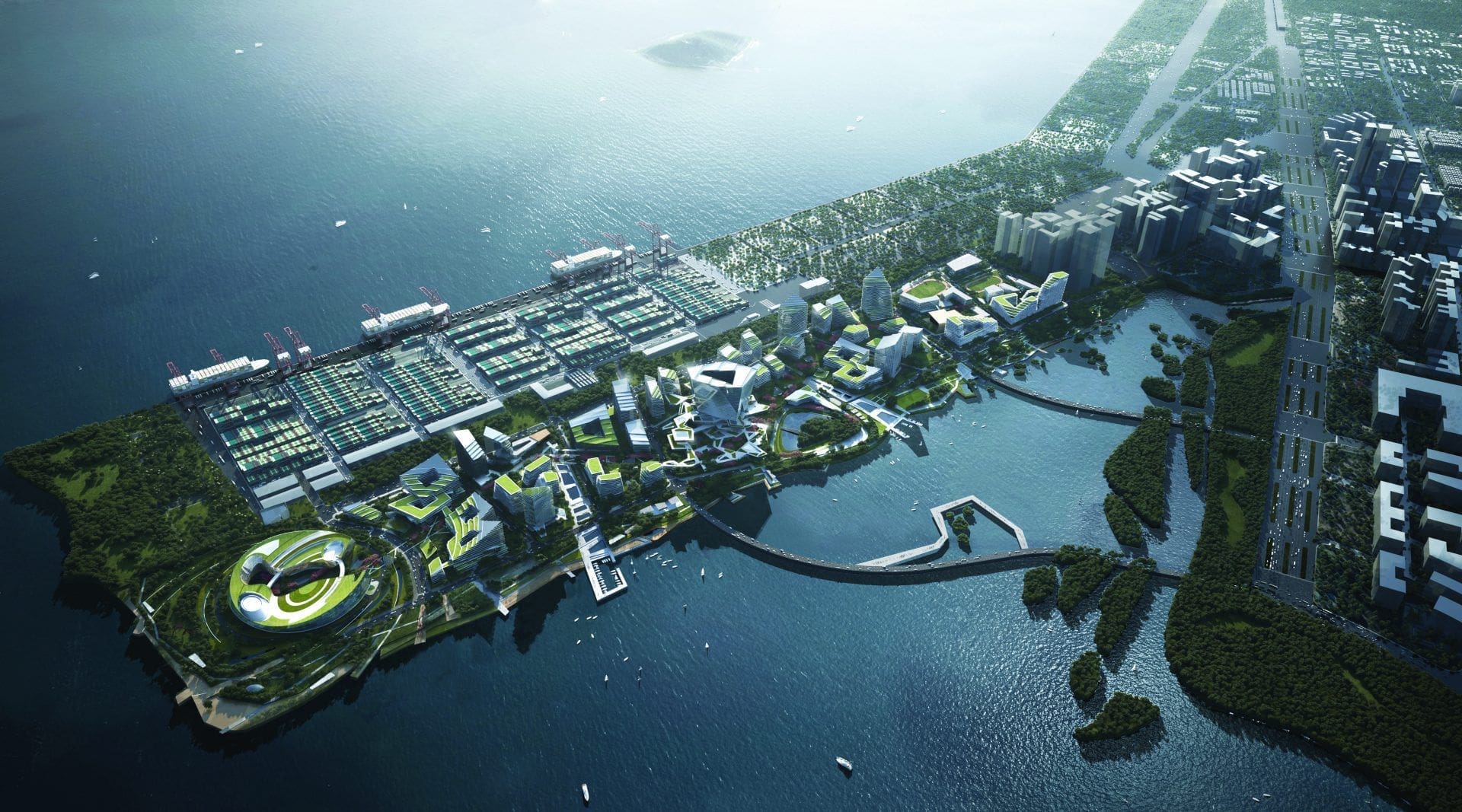 Swim Into The Net Swim Into The Net