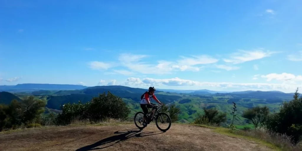 Mountain Biking In NZ’s GOLD Level Destination