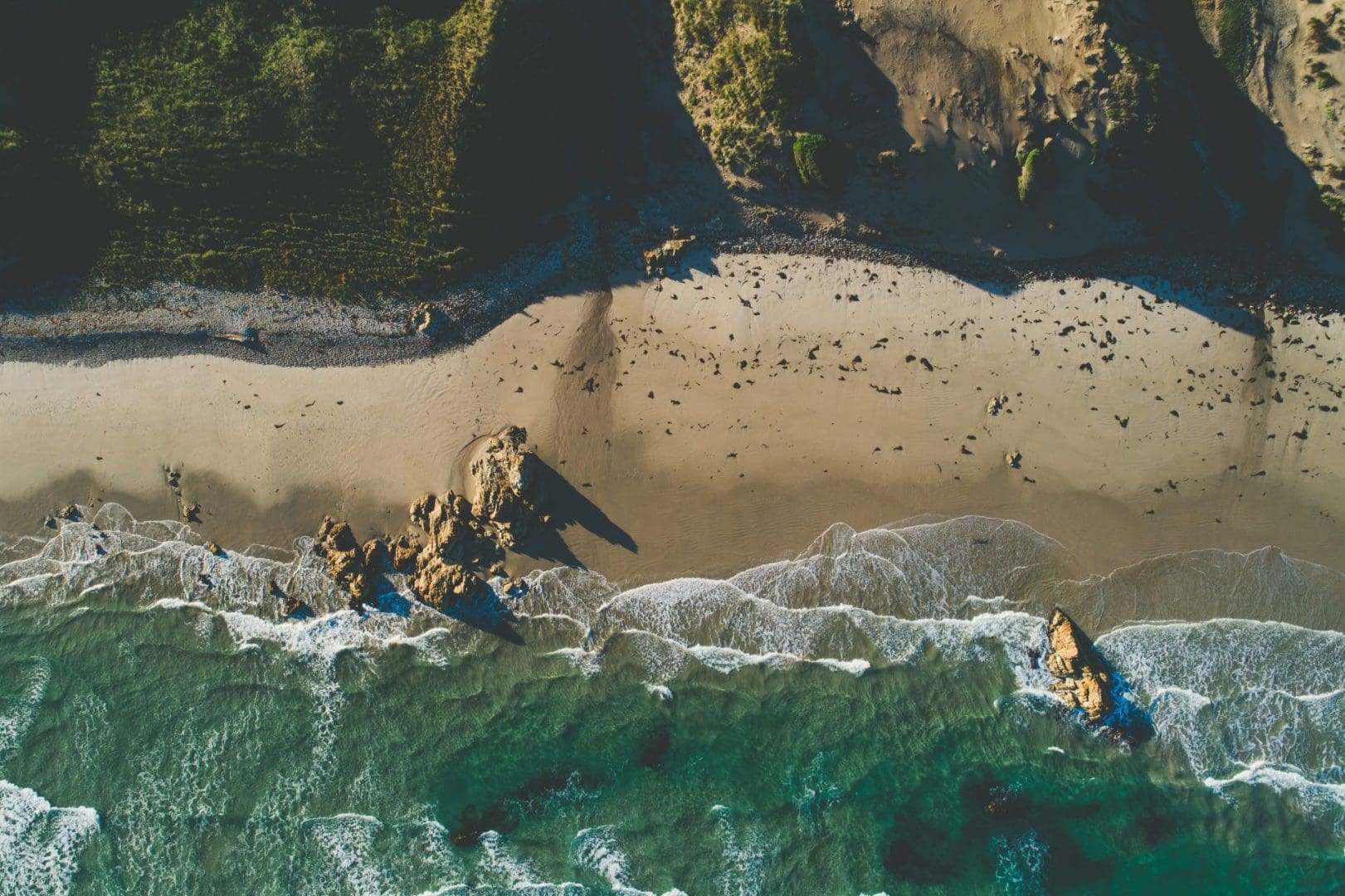 Trans-Tasman Bubble Calls for Tazzy Trip Trans-Tasman Bubble Calls for Tazzy Trip