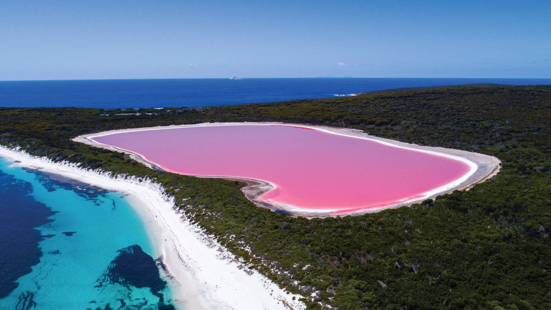 m2-australian-bubble