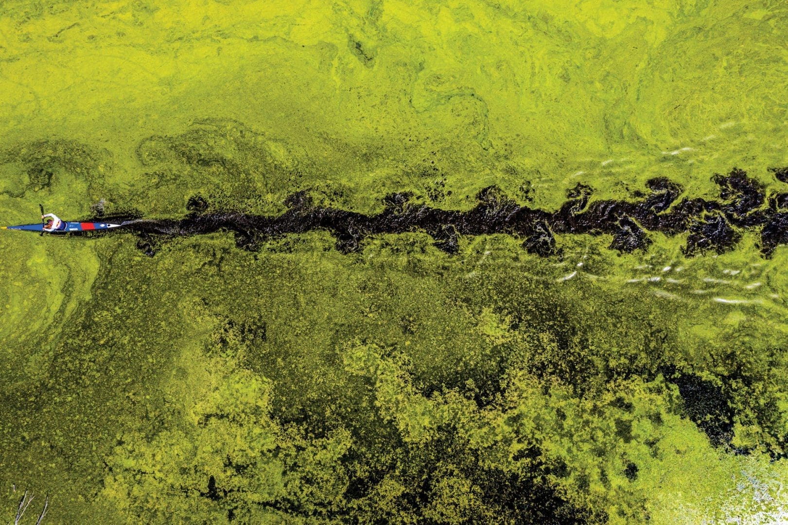 M2 Photo Series: Grass Is Greener