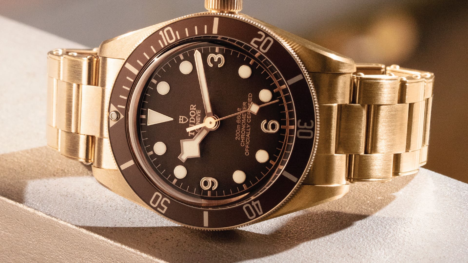 M2 Luxury Watch Guide 2021: Tudor
