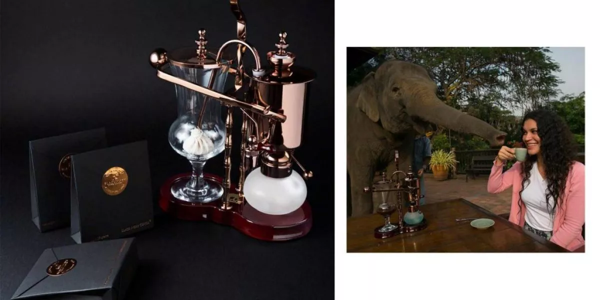 The Most Expensive Coffees In The World Has Gross Origins