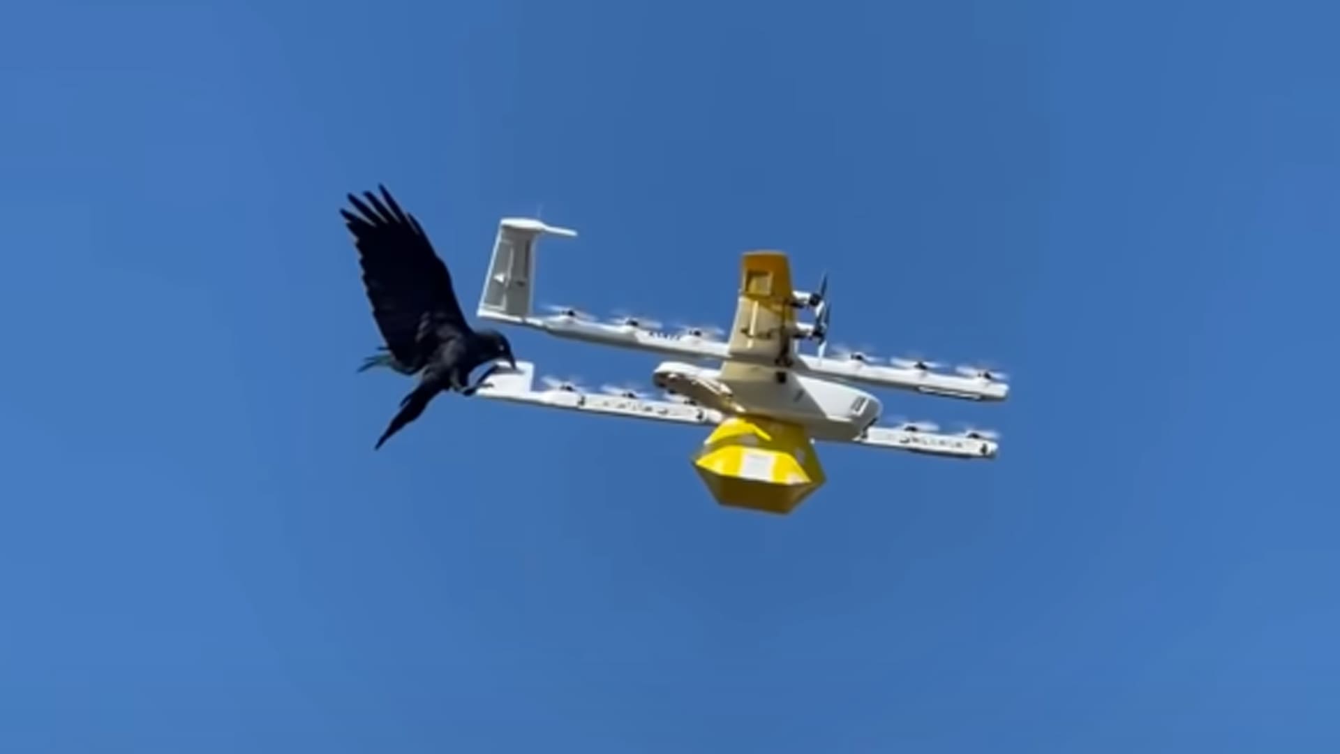 Nature Doesn’t Like Our Dystopian Delivery Future