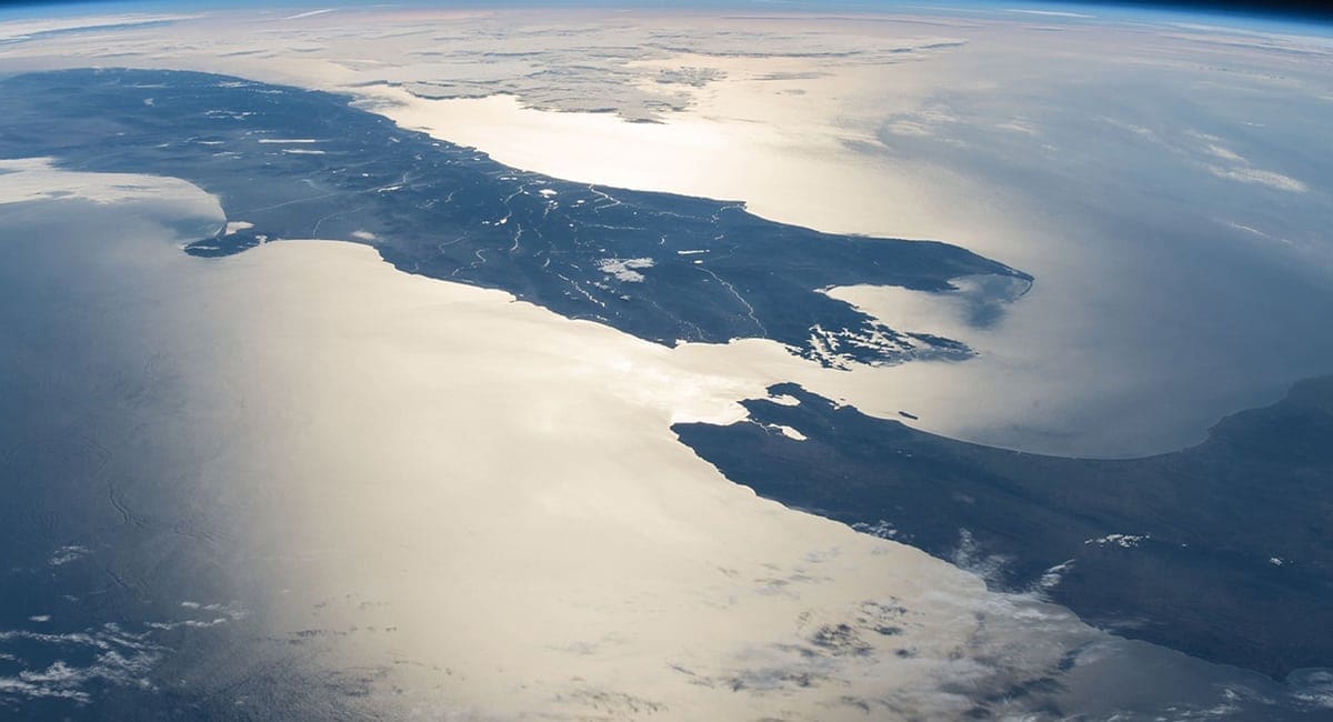 Turning Lockdown Into A Platform For 5,000 NZ Businesses