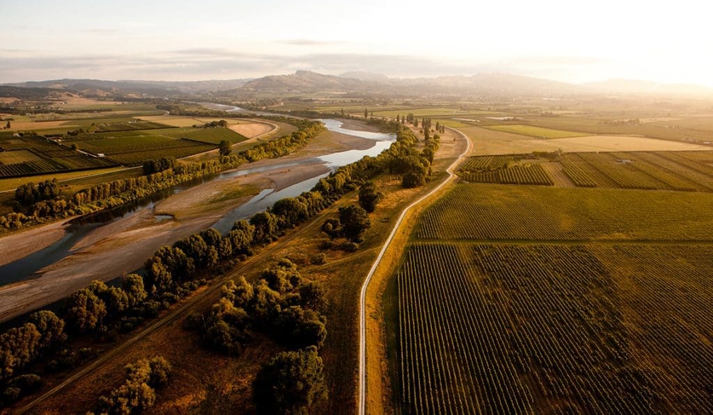 Get In A Taste Of Summer With Te Mata Estate