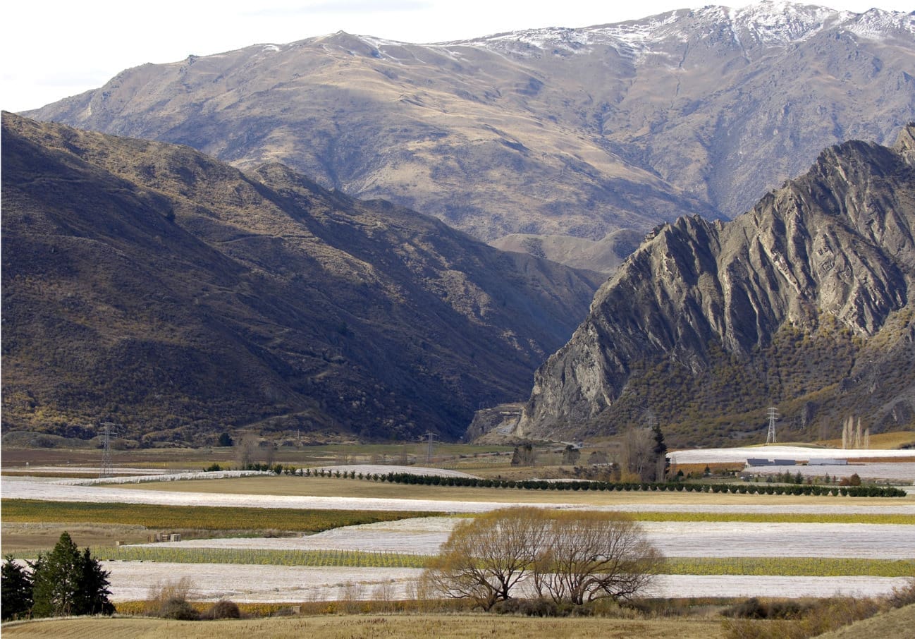 Waitiri Creek: Not Your Usual Winery
