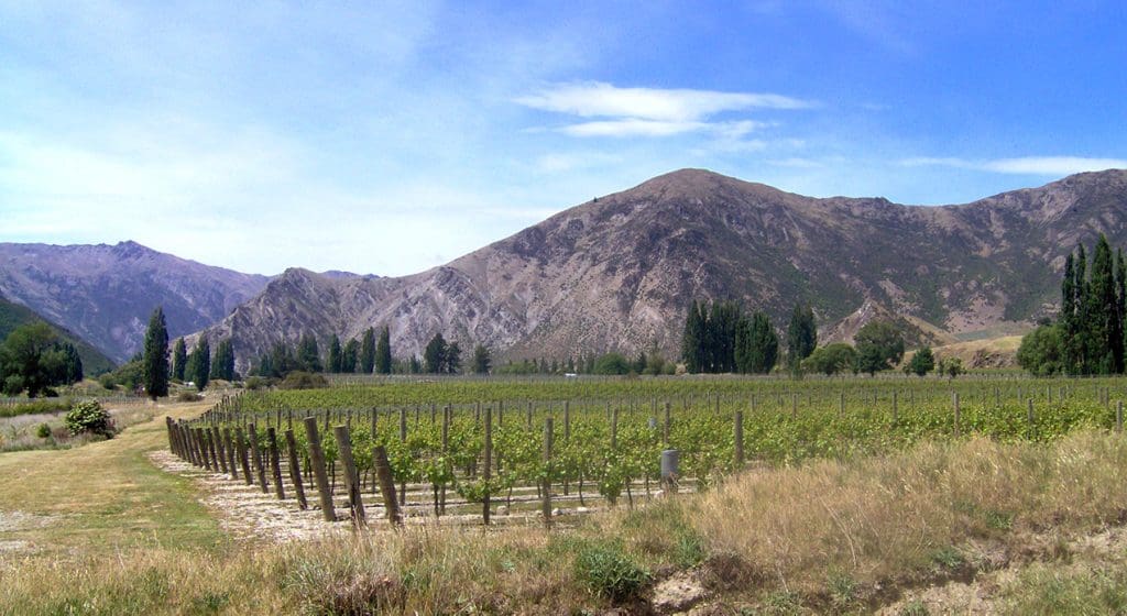Waitiri Creek: Time To Check Out A Classic From The Library