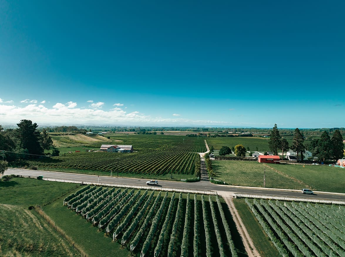 A 500-Year-Old Company In The Making