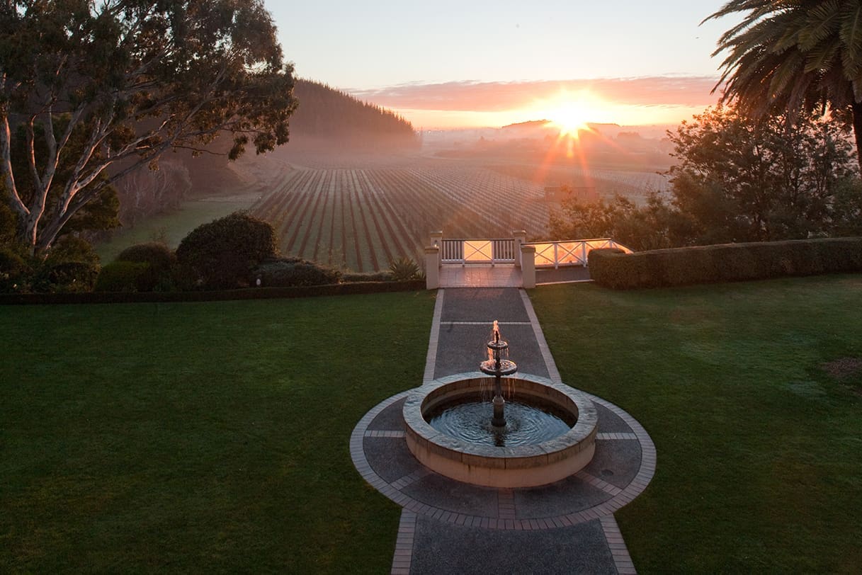 Go On A Mission To Seek Out Great Wine