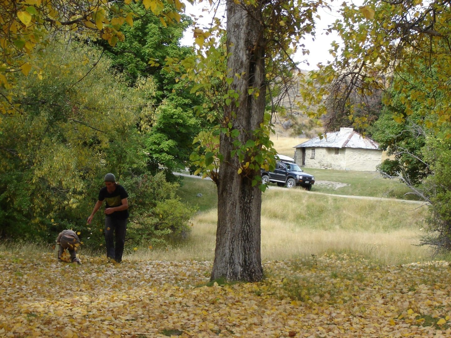Four-wheel Driving Back in Time Four-wheel Driving Back in Time