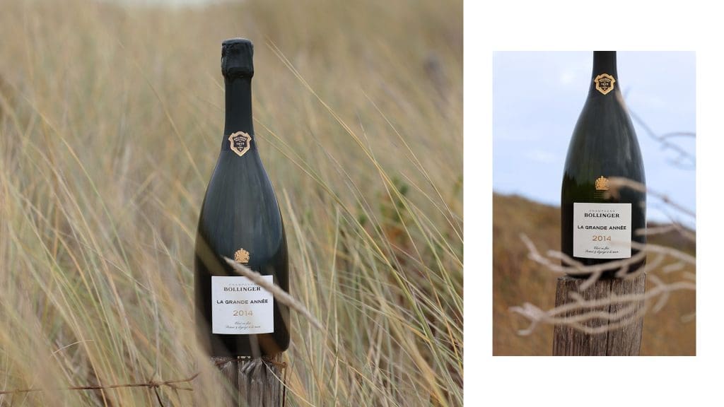 The Search for the Perfect Partner