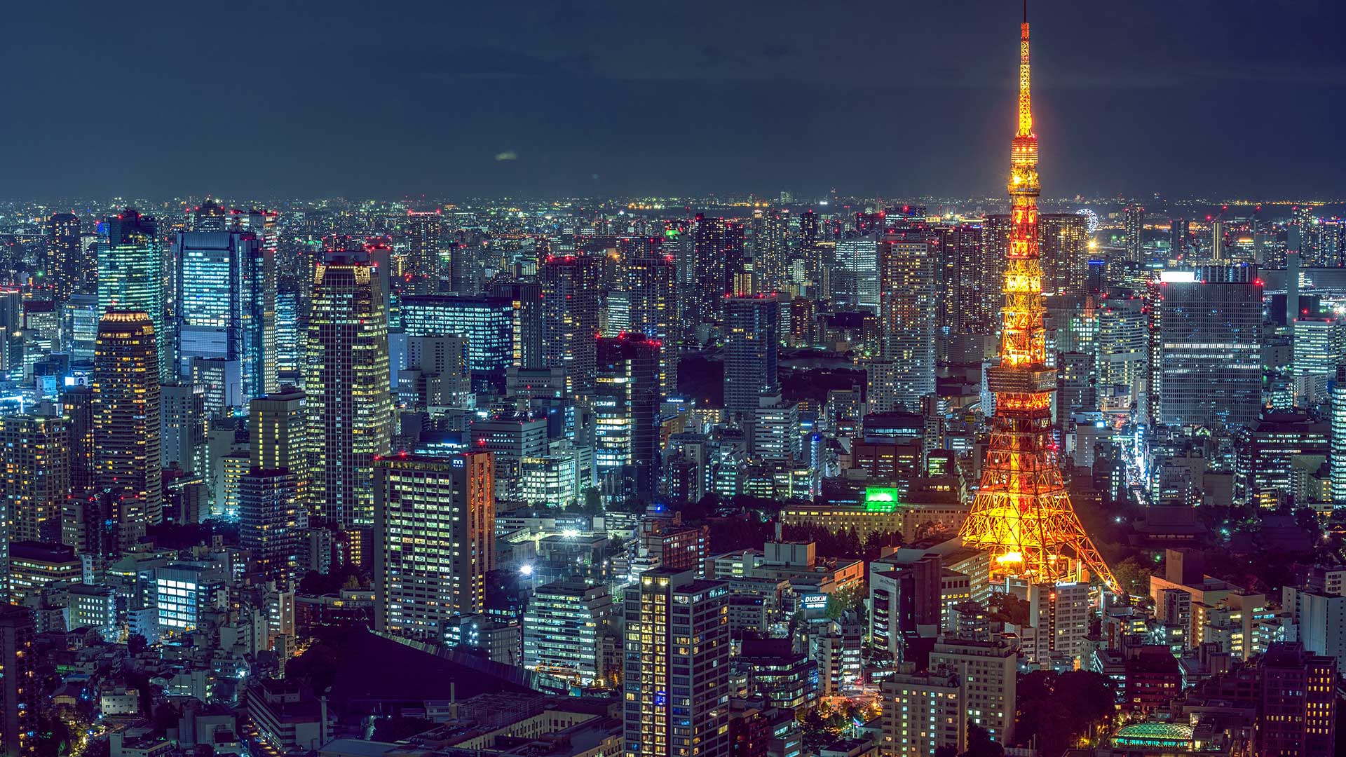 How to Properly Take In Tokyo
