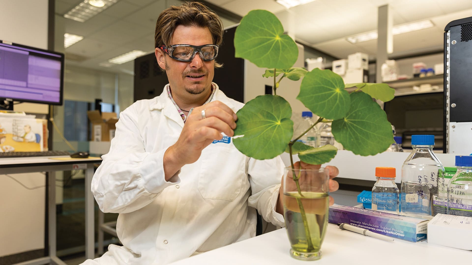 3 Foods to Revive, Supplements to Refresh