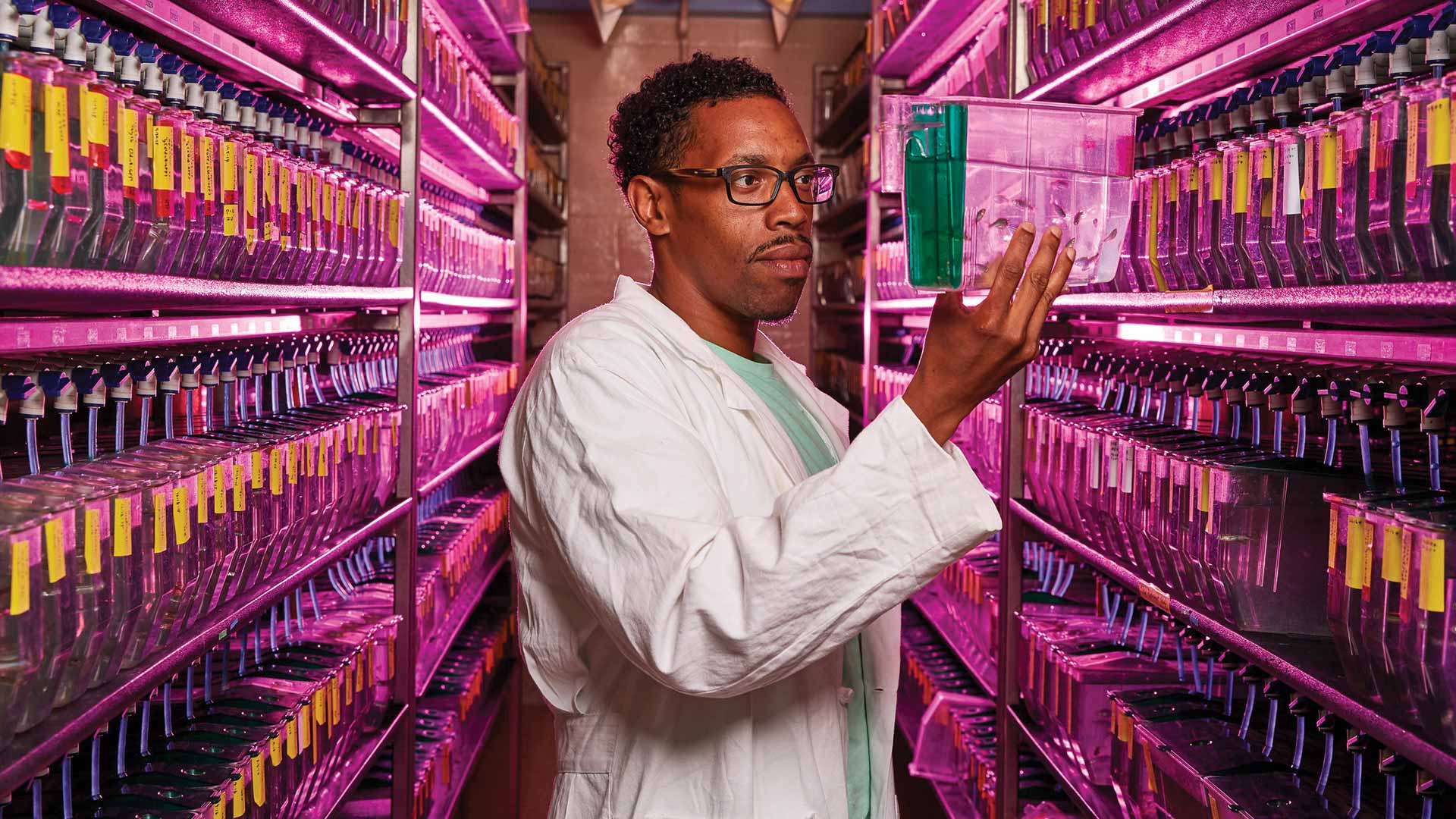 Live Long & Prosper: How science and research is helping us to live longer. (No guarantees on the prosper part.)