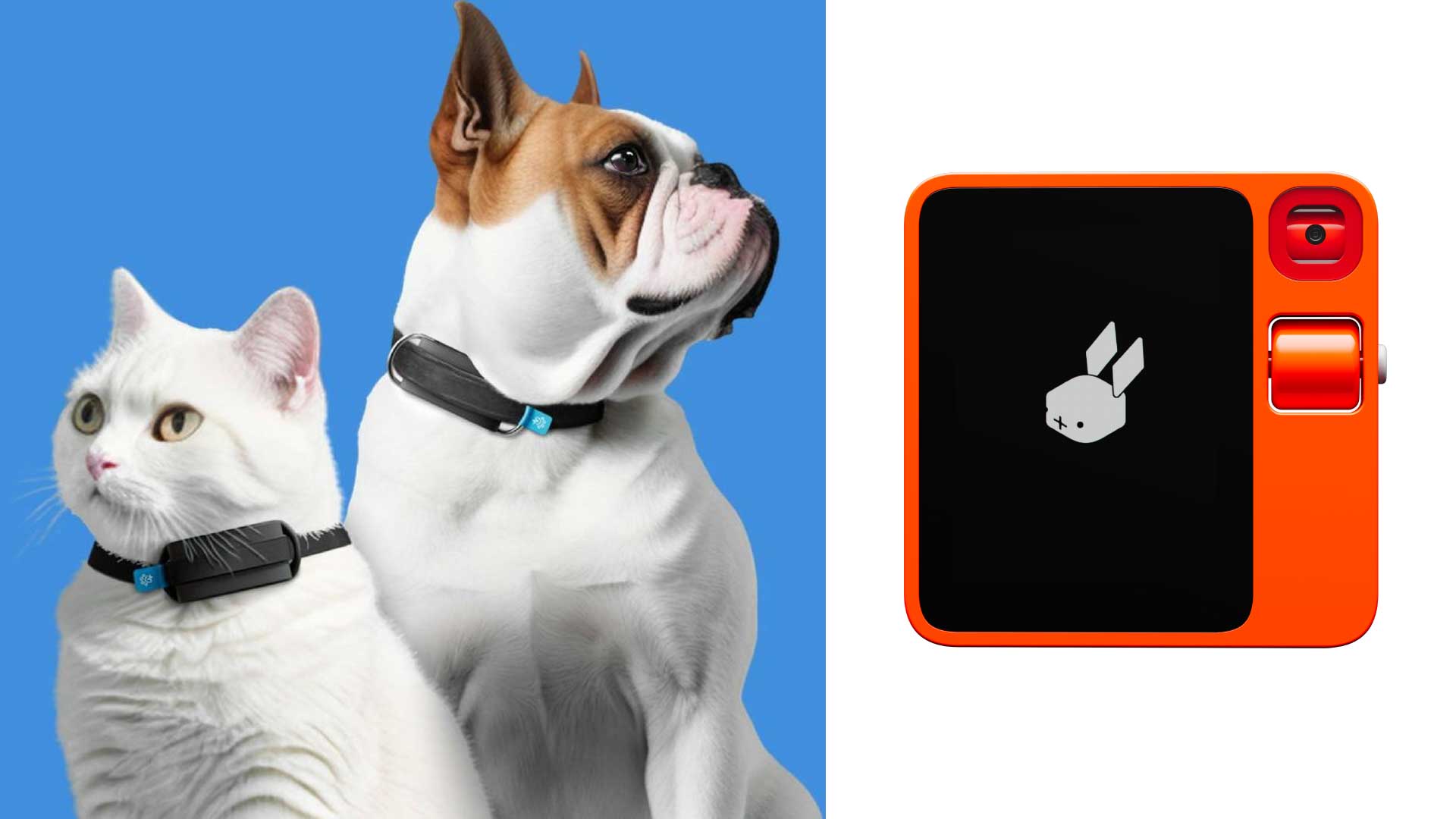 The Best and Weirdest Tech From CES 2024