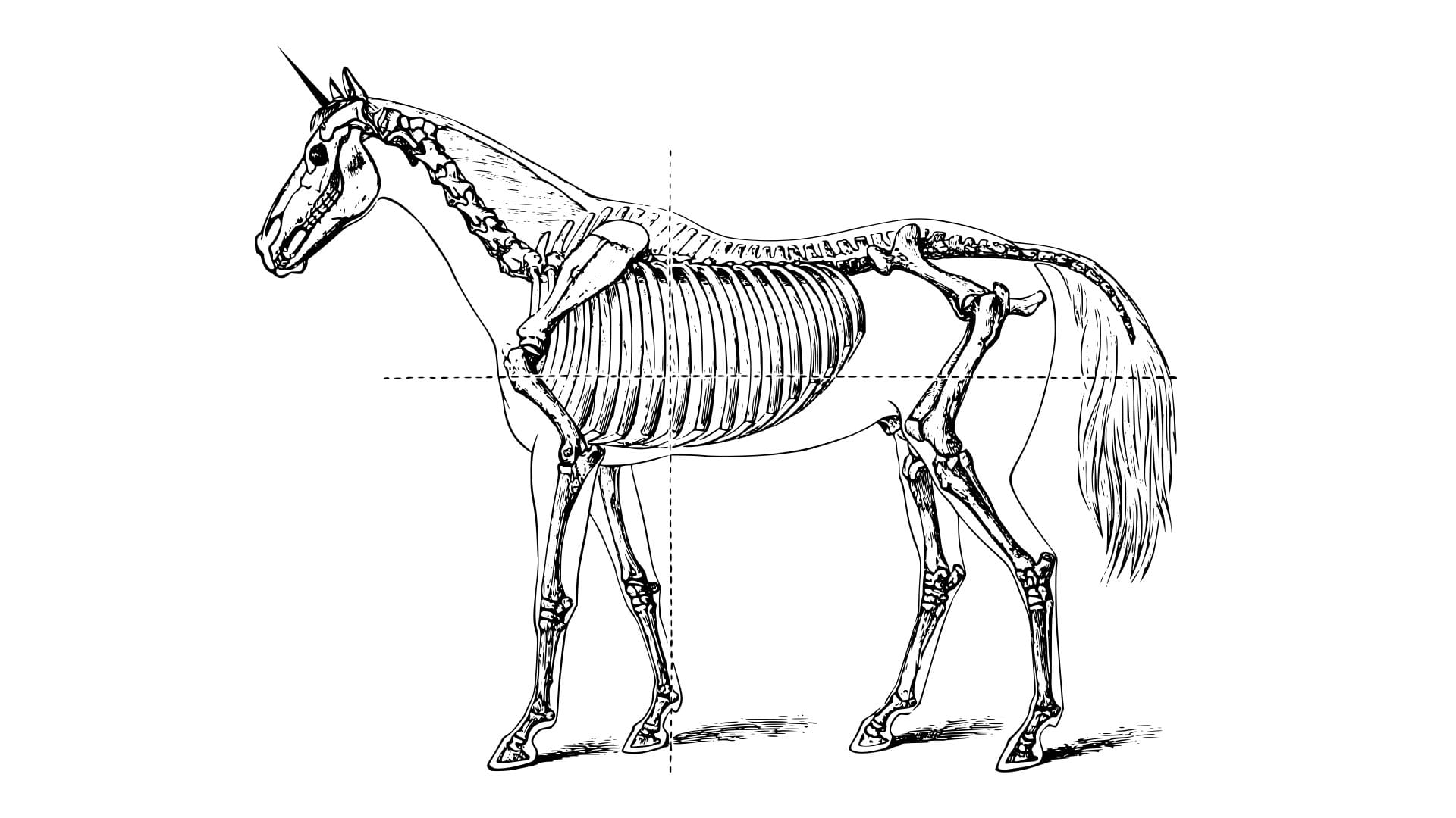 Dead Unicorns: Startups That Failed to Launch