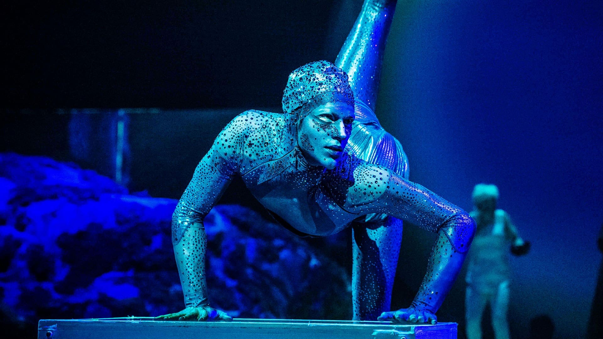 If Cirque du Soleil Was a Whisky  If Cirque du Soleil Was a Whisky