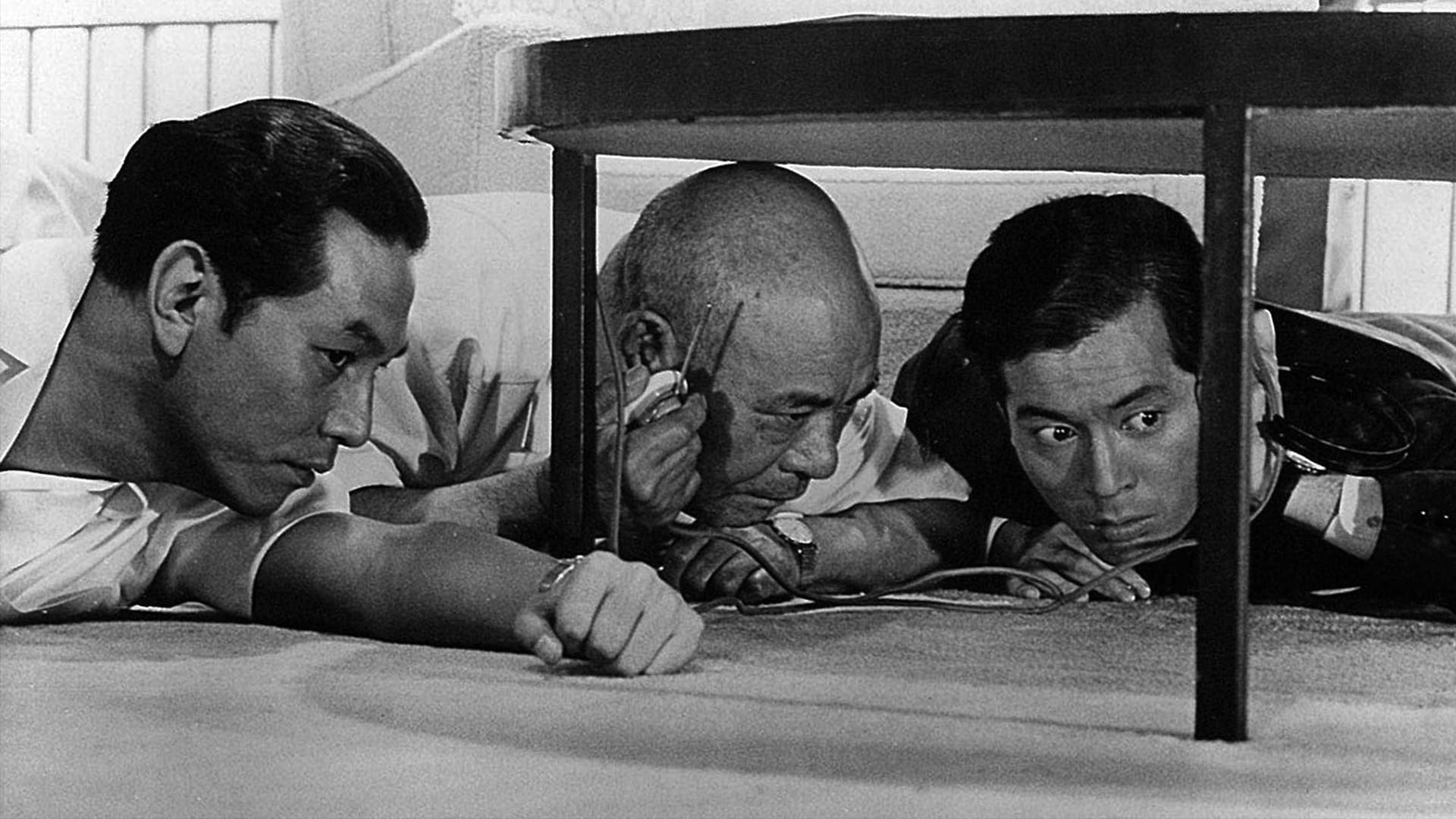 You Need To See High & Low