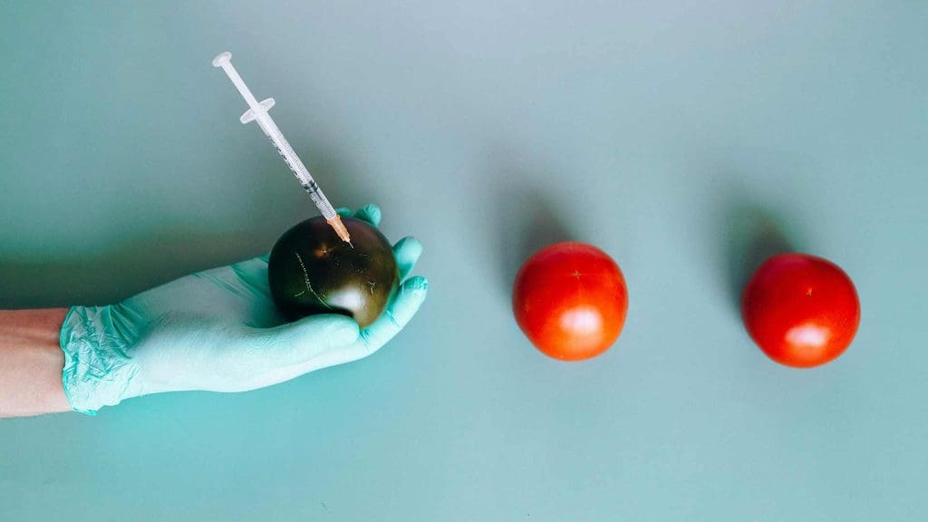 Making GMOs User-Friendly: The CRISPR Rebrand Making GMOs User-Friendly: The CRISPR Rebrand